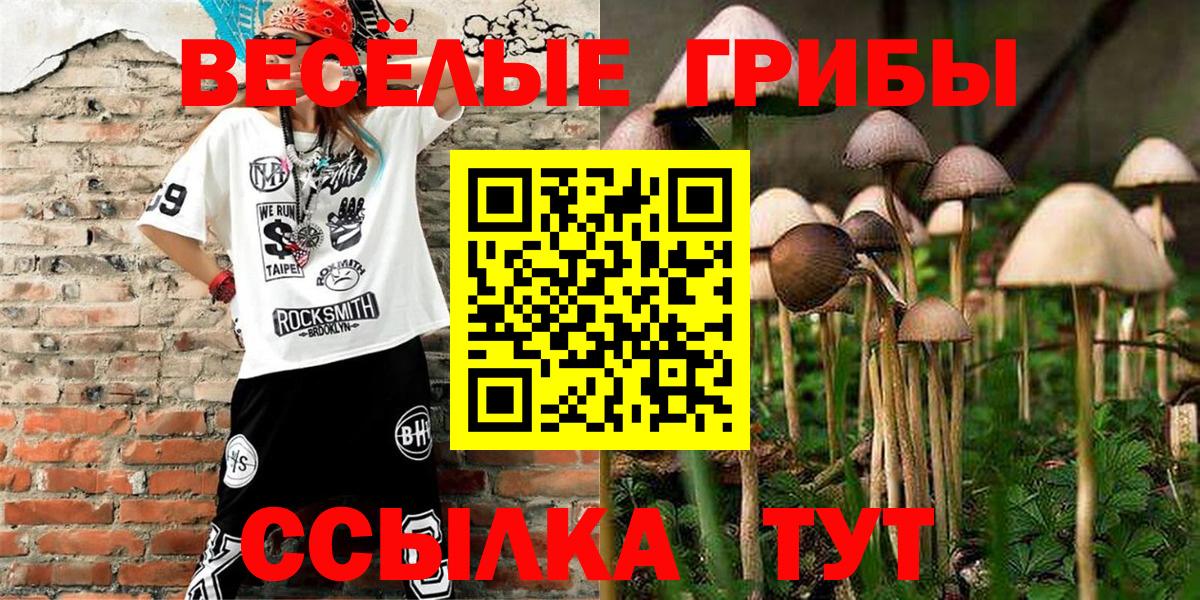 Псилоцибиновые грибы MAGIC MUSHROOMS  Вход с VPN  Галлюциногенные грибы MAGIC MUSHROOMS  Богородск 