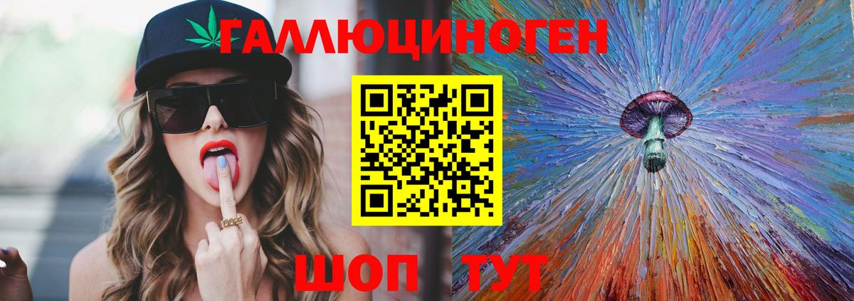 Псилоцибиновые грибы Psilocybine cubensis Богородск